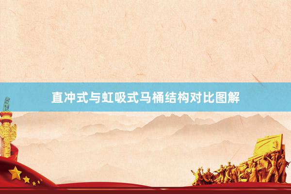 直冲式与虹吸式马桶结构对比图解