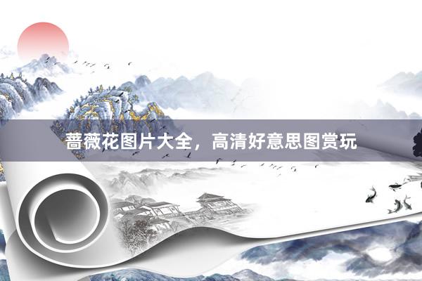 蔷薇花图片大全，高清好意思图赏玩