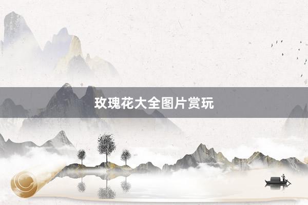 玫瑰花大全图片赏玩